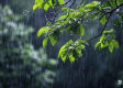 雨何时来，何时去