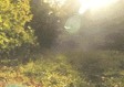 十堰天气预报7天（十堰天气预报7天天预报学校）