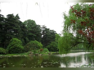 南京天气预报15天30天，江南天气多变，夏季出行需留意气候变化