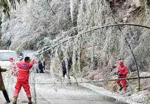 澳客网手机版-徐州未来15天天气趋势全解析，精准预报与出行建议