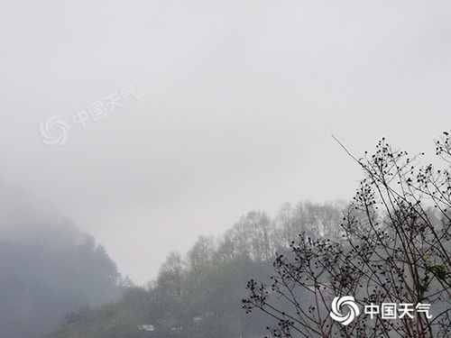 江苏泰州天气预报，本周晴雨交替，气温稳步回升