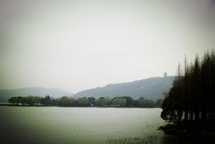 从化天气，岭南的温润诗篇
