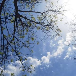 河南全省天气预报，本周气温先升后降，周末迎来新一轮冷空气