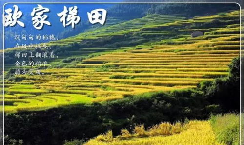 金多宝833933cm金多宝-桂林一月份气温多少度？冬日里的山水暖意