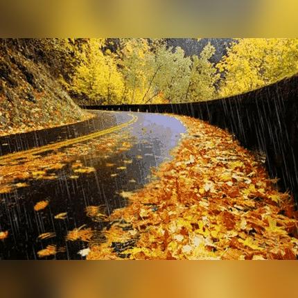 彩搜网-未来30天天气预报查询，透视气候趋势，掌握生活主动权