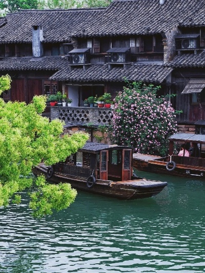 青海11选5-乌镇自由行全攻略,一场穿越千年的水乡梦 青海11选5-乌镇自由行全攻略,一场穿越千年的水乡梦