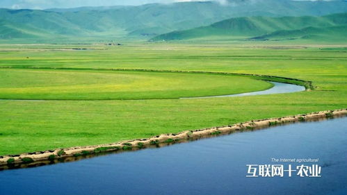 鄂尔多斯天气，草原上的四季交响曲