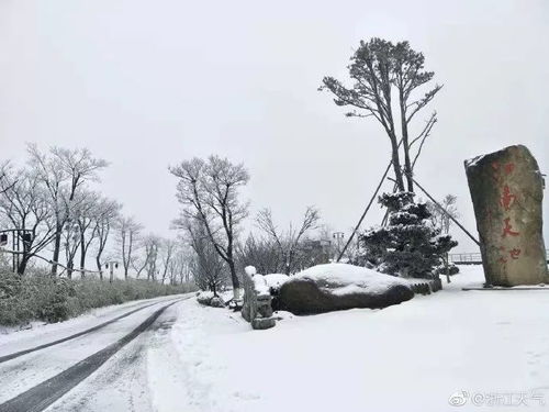 全国下雪实时查询，足不出户，看遍华夏雪景