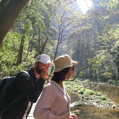张家界十五天天气观察，山峦间的气候密码
