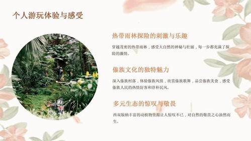 西双版纳旅游攻略，探秘热带雨林与傣族风情的终极指南