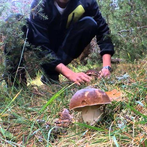 云南天气预报一周，春日高原，晴雨变幻间的旅行指南