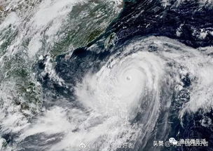 双台共舞,15号与16号台风的接力风暴 双台共舞,15号与16号台风的接力风暴