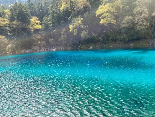 四川九寨沟天气预报15天查询，出行前必看的实用指南