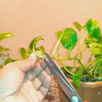 精准到分钟，及时天气预报，让你不再淋雨的下载神器