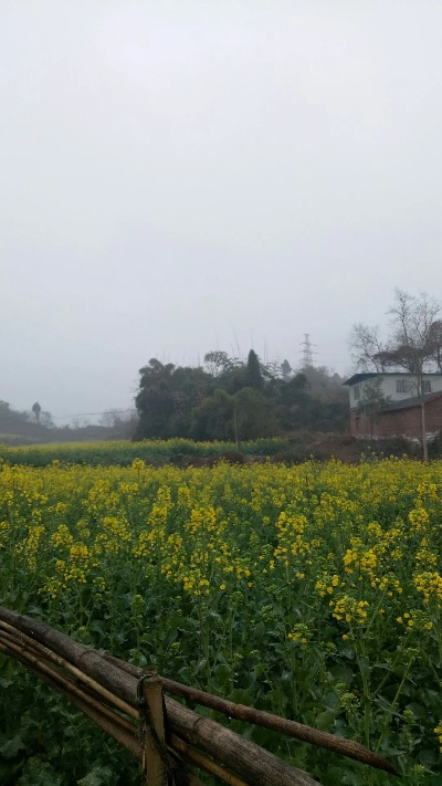 仁寿天气预报,晴雨之间,感受小城温度 仁寿天气预报,晴雨之间,感受小城温度